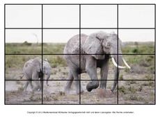 Puzzle-Elefanten-4.pdf